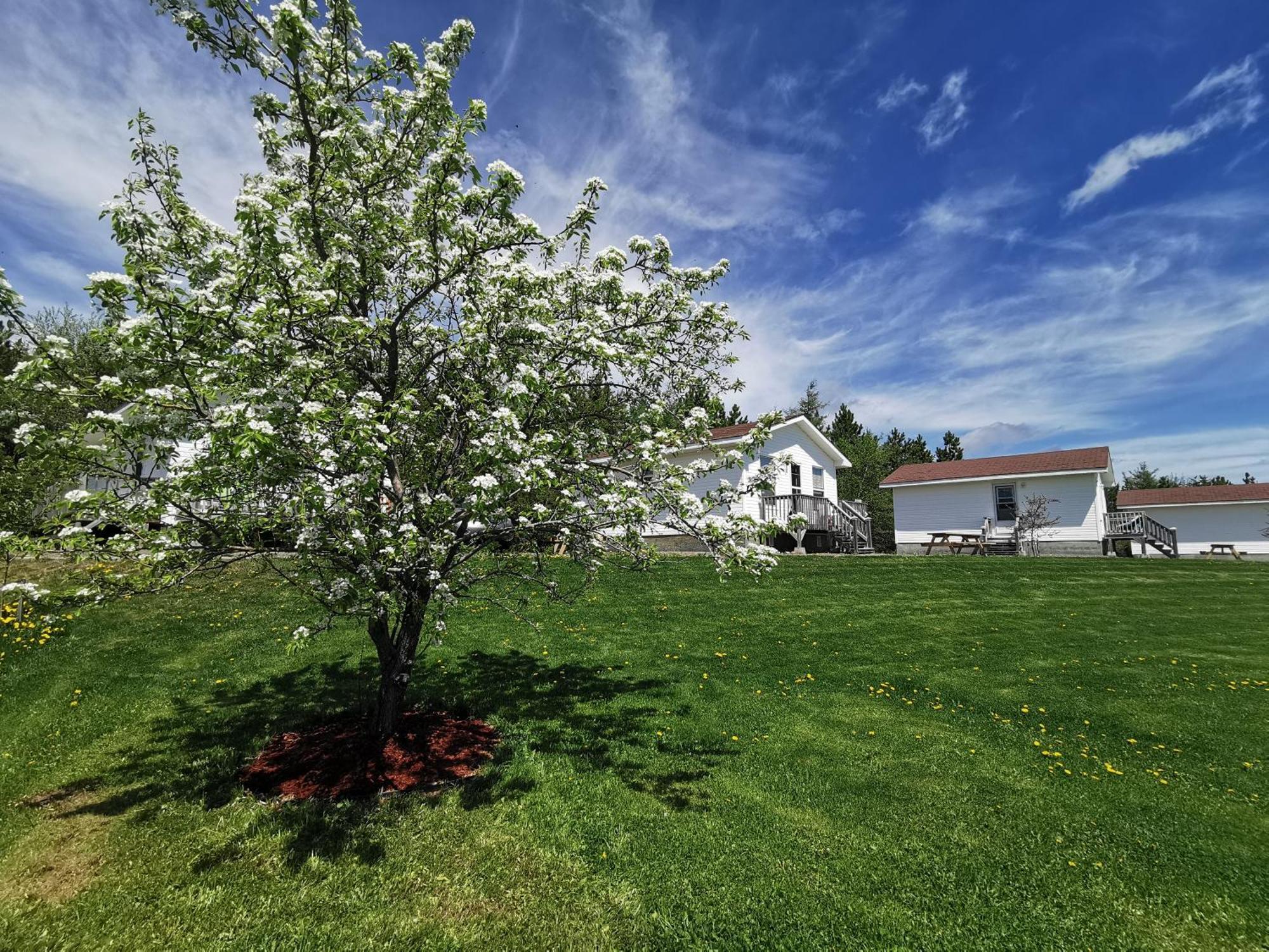 L'Ancrage B&B And Cottages Saint Louis de Kent 외부 사진