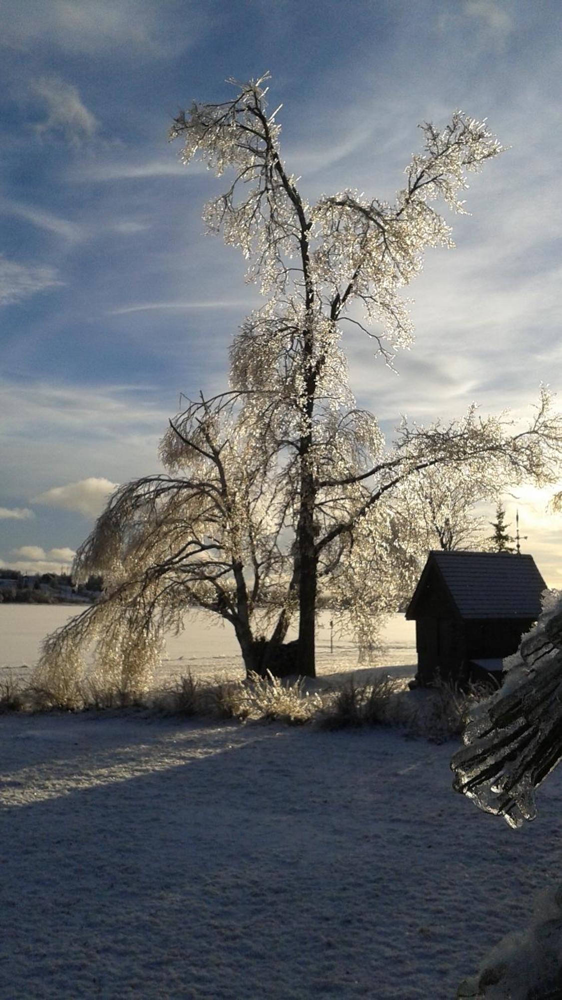 L'Ancrage B&B And Cottages Saint Louis de Kent 외부 사진